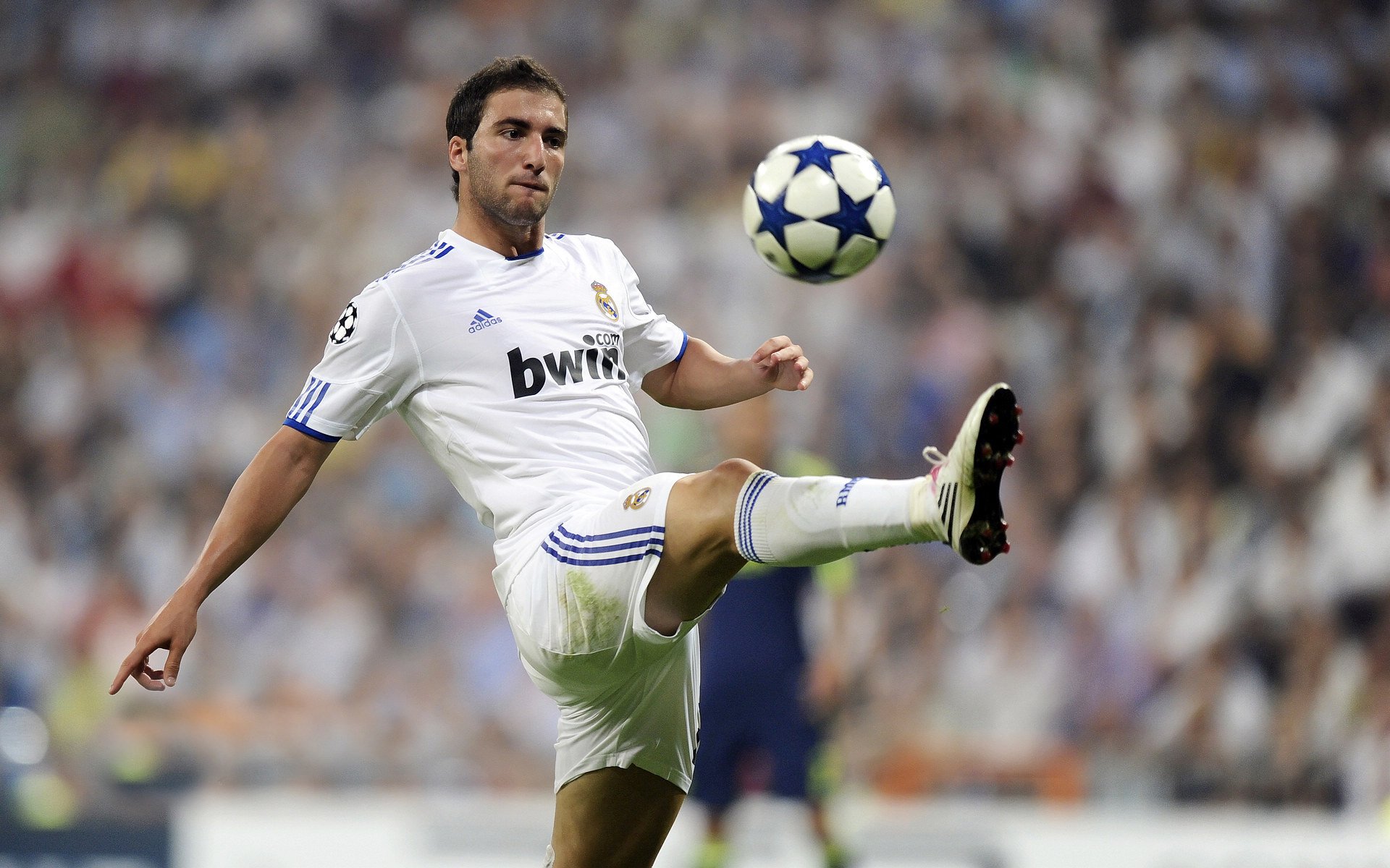 奥利维耶的指挥艺术，南非对阵阿根廷，一场被一人定义的比赛