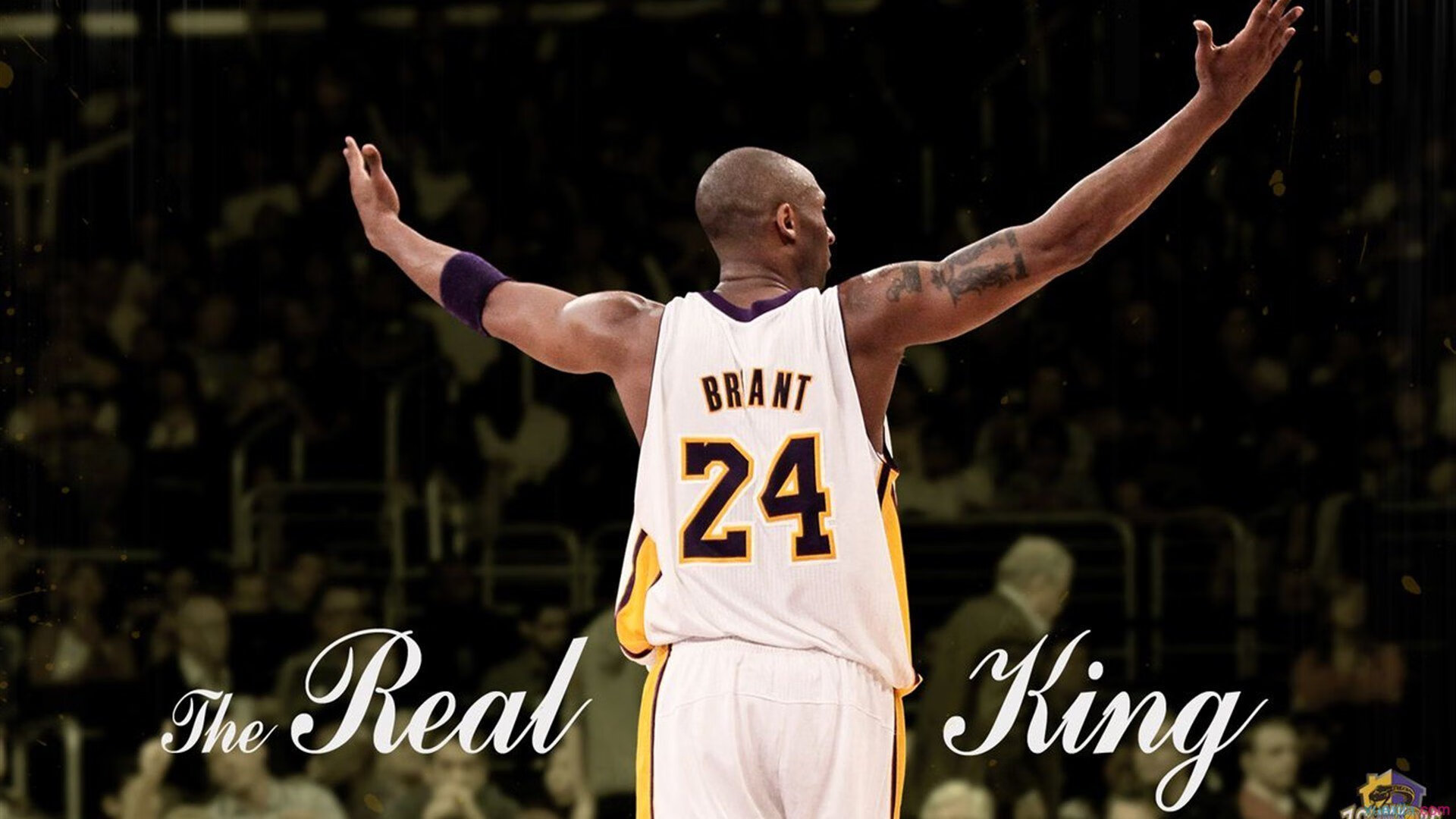 萨内全程高能输出，NBA总决赛之夜的另类MVP